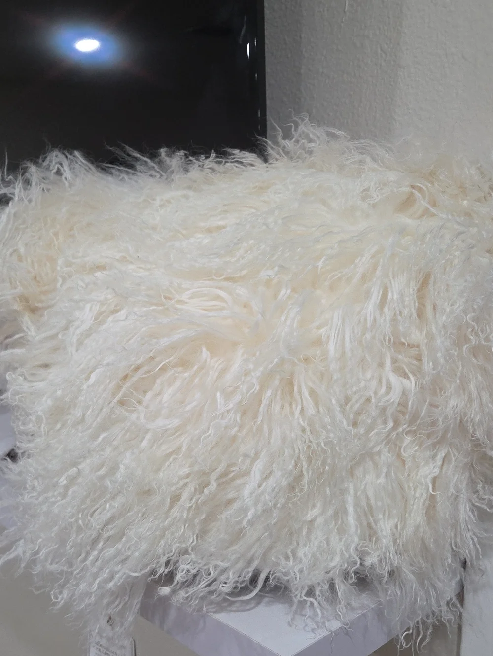 Plush Cream Fur Decorative Pillow Cover - Pottery Barn